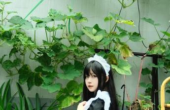 当白莉爱吃巧克力遇上明日香，免费照片直击你的心窝，你准备好咯？